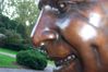 image_0575.JPG