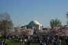 Picture_0159.JPG