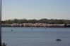 Picture_0167.JPG
