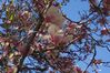 Picture_0196.JPG
