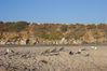 100_1054.JPG