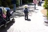 Filename=Picture_0016.JPG
Filesize=722KB
Dimensions=2160x1440
Date added=Oct 06, 2005 Picture_0016.JPG