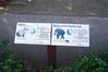 Picture_0037.JPG